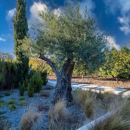 Casa Blanca Villa Carvoeiro (Lagoa)